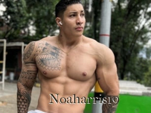 Noaharris19