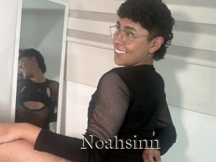 Noahsinn