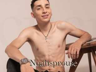Noahsprouse