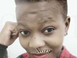 Nozy