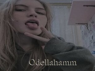 Odellahamm