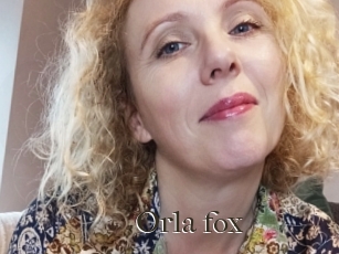 Orla_fox