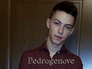 Pedrogenove
