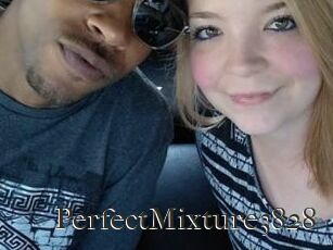 PerfectMixture3828