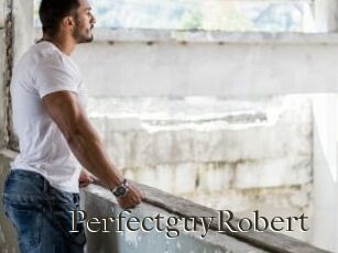 PerfectguyRobert