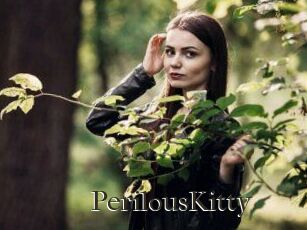Perilous_Kitty