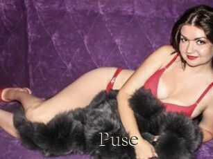 Puse