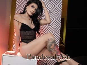 Pandorabush