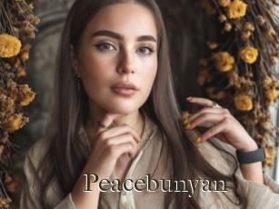 Peacebunyan