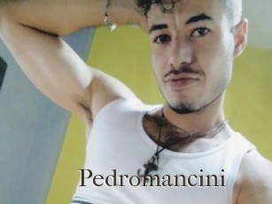 Pedromancini