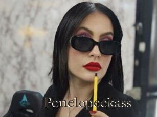 Penelopeekass