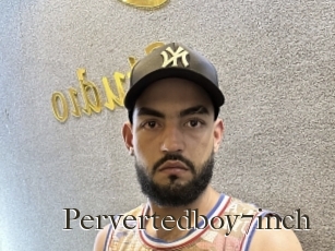 Pervertedboy7inch