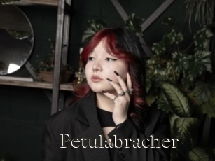 Petulabracher