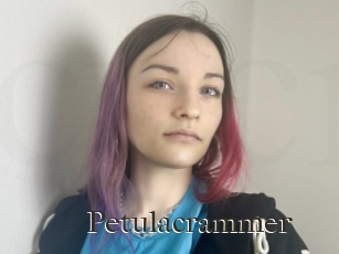Petulacrammer