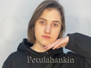 Petulahankin