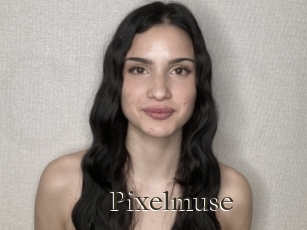 Pixelmuse