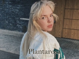 Plantarosa
