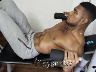 Playsnake