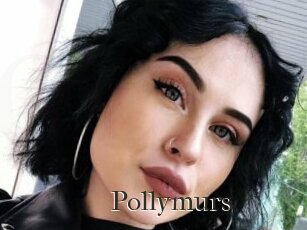 Pollymurs