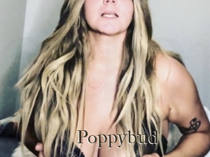 Poppybud