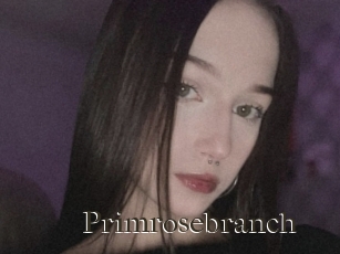 Primrosebranch