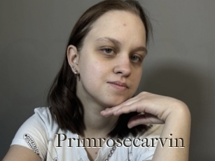 Primrosecarvin