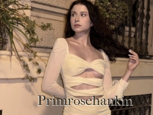 Primrosehankin