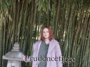 Prudencefigge