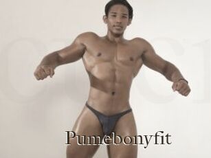 Pumebonyfit
