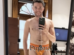 Pupstud