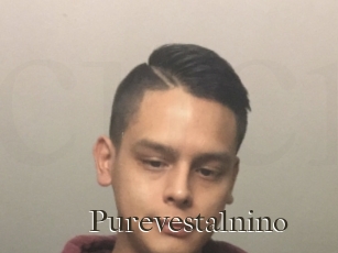 Purevestalnino