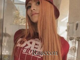 Raaccon