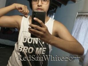 RedSanWhite2077