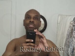 Rodney_Rabbit