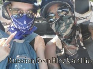 RussianfoxnBlackstallion
