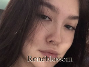 Reneblossom