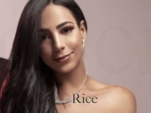Rice