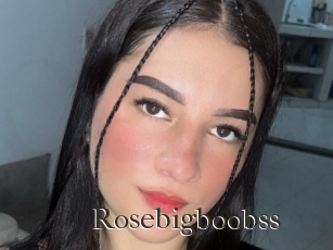 Rosebigboobss