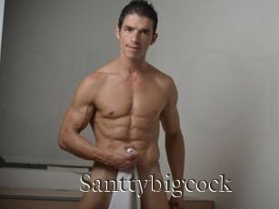 Santtybigcock