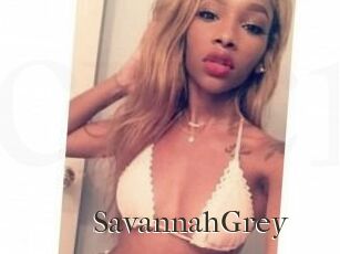 Savannah_Grey