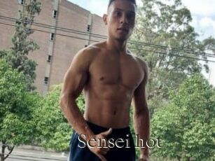 Sensei_hot
