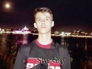 Shy_Gay