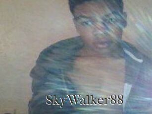 SkyWalker88