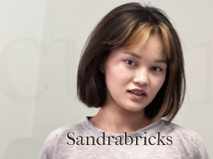 Sandrabricks