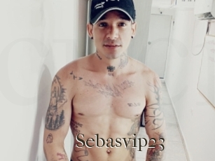 sebasvip23 Cum crazy amateurs