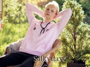 Silkydave