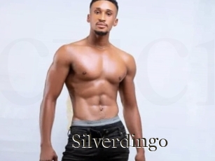 Silverdingo