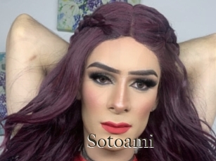 Sotoami