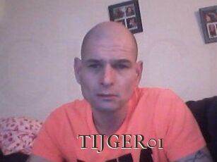 TIJGER01