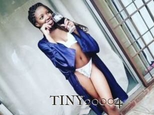 TINY20004